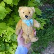 画像6: Steiff Blond Original Teddy 24cm 推定1950年代　（ビンテージ）