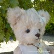 画像5: 40周年記念商品☆【ウィットニー限定】キャサリン 27cm 6番