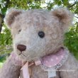 画像4: 40周年記念商品☆【ウィットニー限定】ジャン (Janiceベア）60cm 8番