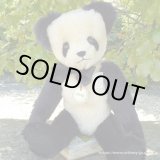 画像: 40周年記念商品☆【ウィットニー限定】ピング 31cm 7番