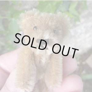画像: エクセレントコンディション☆ Schuco Mascot Bear, caramel 6.5cm 推定1950年代　（ビンテージ）