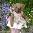 画像1: 1点もの☆ Pinny Mufflin by Mary 20cm（フォーゲットミーノット）