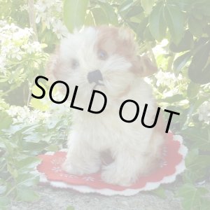 画像: 14cm Steiff Molly Puppy 推定1959年〜1969年頃　（ビンテージ）