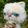 画像4: 1点もの☆ 大好き、テディベア抱き抱きエキゾチックショートヘアーキャット 17cm by 加藤日砂