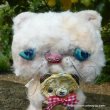 画像2: 1点もの☆ 大好き、テディベア抱き抱きエキゾチックショートヘアーキャット 17cm by 加藤日砂