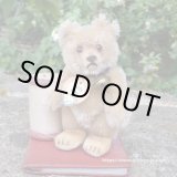 画像: 貴重なお品です！ Steiff Teddy Baby 9cm 推定1950年〜1957年頃　（ビンテージ）