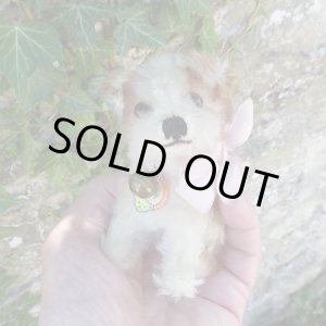 画像: 10cm Steiff Molly Puppy 推定1959年〜1967年頃　（ビンテージ）