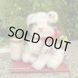 画像: 可愛いです♪♪　10cm Steiff Kitty Cat 1960年代　（ビンテージ）