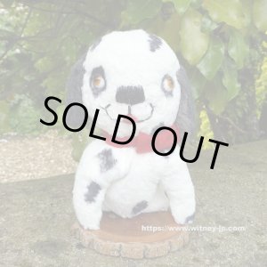 画像: 値下げ価格からさらにOFF！ Tinker Tubbee Pup 16 cm by Deb Beardsley （アメリカ）4番