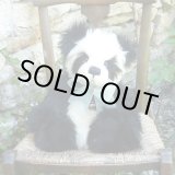 画像: 【送料無料】チャーリーベアーズ  アニバーサリー・チーチー  30cm　