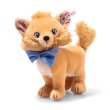 画像2: 【送料無料】 2025年秋冬新作☆ シュタイフ ディズニー おしゃれキャット トゥルーズ 18cm