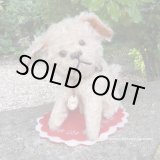 画像: 【ウィットニー限定】ウォーリー 20cm 　59番