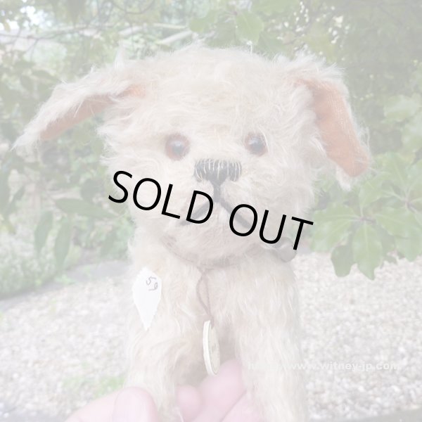 画像3: 【ウィットニー限定】ウォーリー 20cm 　59番