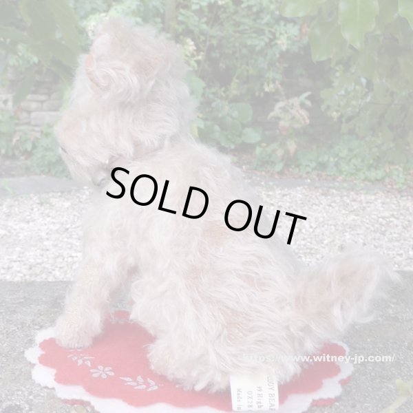 画像4: 【ウィットニー限定】ウォーリー 20cm 　59番