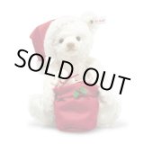 画像: 【送料無料】 2025年秋冬新作☆ シュタイフ サンタテディベア(ライト付き) 29cm