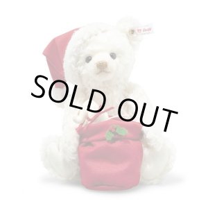 画像: 【送料無料】 2025年秋冬新作☆ シュタイフ サンタテディベア(ライト付き) 29cm