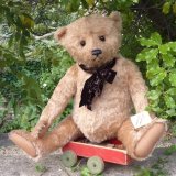 画像: 2025年7月入荷☆ 1点もの ☆ Thomas by Sharon Barron 58cm（米）