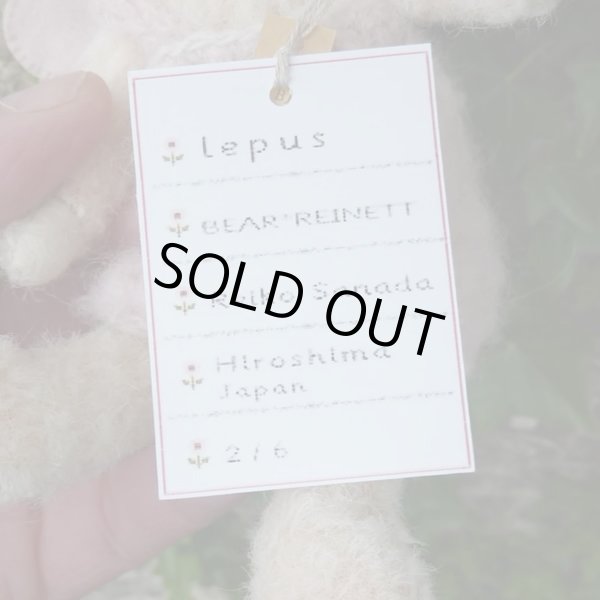 画像7: 真田　玲子さん作 Lepus 18cm 2番