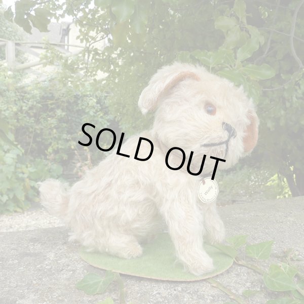 画像3: 【ウィットニー限定】ウォーリー 20cm 　62番