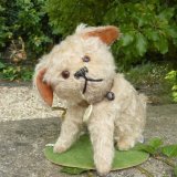 画像: 【ウィットニー限定】ウォーリー 20cm 　62番