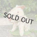 画像: 【ウィットニー限定】ウォーリー 20cm 　62番