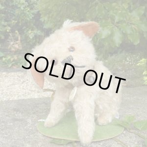 画像: 【ウィットニー限定】ウォーリー 20cm 　62番