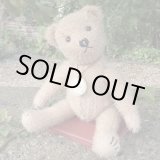 画像: 1体限り☆【ウィットニー限定】ティミー 21cm