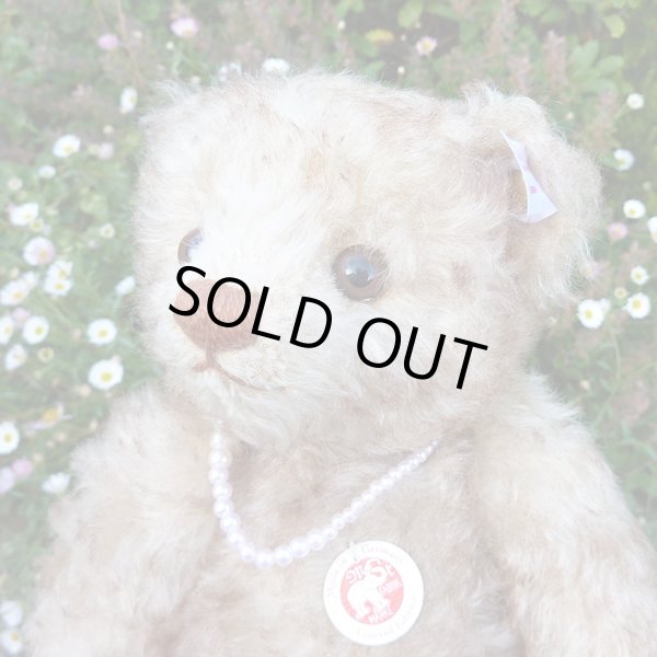 画像5: 【ウィットニー限定】　シュタイフ ハッピー 22cm 　4番