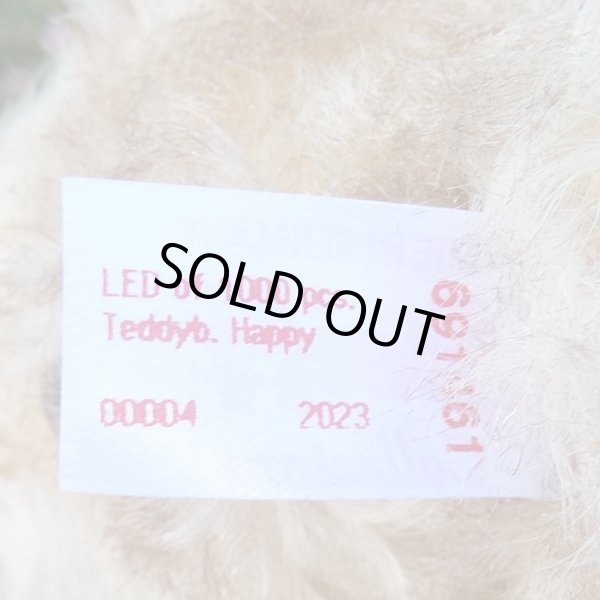 画像7: 【ウィットニー限定】　シュタイフ ハッピー 22cm 　4番