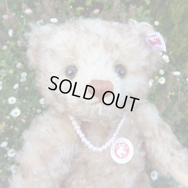 画像4: 【ウィットニー限定】　シュタイフ ハッピー 22cm 　4番