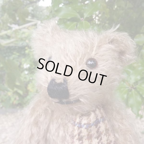 画像3: ウィットニー40周年記念☆ メリーソート　【ウィットニー限定】 ティミー 20cm 9番