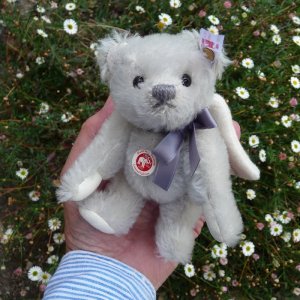 シュタイフ　ジャッキーローズ　マイドールハウス　テディベア teddybearshop_00988