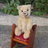 画像: 【ウィットニー限定】セオドア　8.5cm  807番