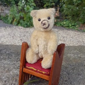 画像: 【ウィットニー限定】セオドア　8.5cm  807番