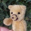 画像5: 【ウィットニー限定】セオドア　8.5cm  807番