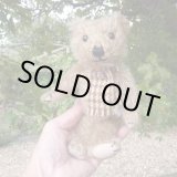 画像: ウィットニー40周年記念☆ メリーソート　【ウィットニー限定】 ティミー 20cm 27番