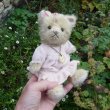 画像5: オススメです☆ 【ウィットニー限定】子猫の カトリーナ 22cm 33番