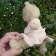 画像6: オススメです☆ 【ウィットニー限定】子猫の カトリーナ 22cm 33番