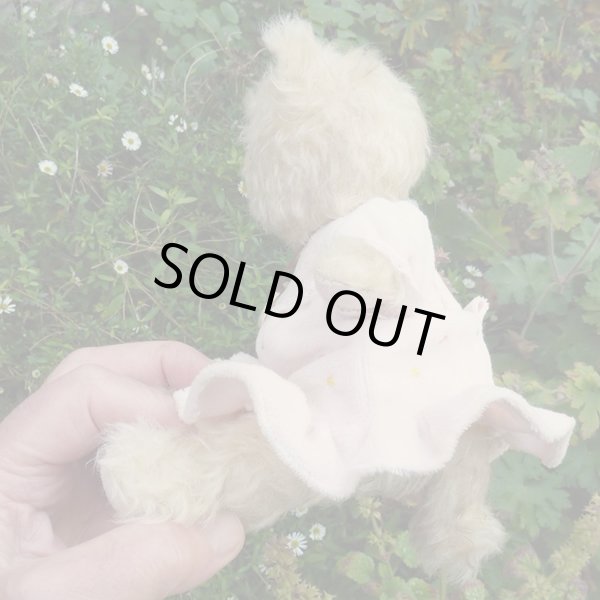 画像6: オススメです☆ 【ウィットニー限定】子猫の カトリーナ 22cm 33番