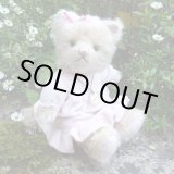 画像: オススメです☆ 【ウィットニー限定】子猫の カトリーナ 22cm 33番