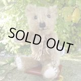 画像: ウィットニー40周年記念☆ メリーソート　【ウィットニー限定】 ティミー 20cm 68番