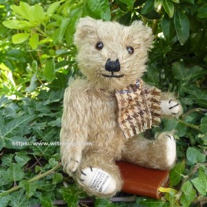 画像: ウィットニー40周年記念☆ メリーソート 【ウィットニー限定】 ティミー 20cm 6番