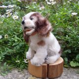 画像: ID全てあり！可愛いお顔です☆ Steiff Cockie Cocker Spaniel 10cm 推定 1951年〜1958年頃（ビンテージ）