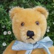 画像2: 大変良い状態です☆ Steiff Blond Original Teddy 20cm 推定1960年代　（ビンテージ）