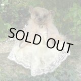 画像: 1点もの☆ Quimsymilla by Mary 42cm（フォーゲットミーノット）