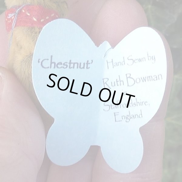 画像4: 1点もの☆ Chestnut 4.5cm by Ruth Bowman （英）
