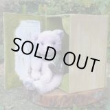 画像: 1点もの☆ Crocus Patricia 12.5cm by Anna Iusupova（独）