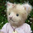 画像4: 【ウィットニー限定】子猫の カトリーナ 22cm 17番