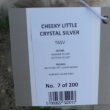 画像7: 2025年11月発売☆ メリーソート  チーキー・リトルクリスタル・シルバー 15cm 7番