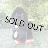 画像: 大変貴重なお品です！ シュタイフ社アーカイブより 28cm  Cosy Tobby プードル　1985年・ハンドメイド試作モデル　（ビンテージ）